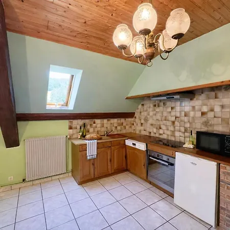 Large House With Garden And Terrace In Lapoutroie